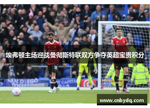 埃弗顿主场迎战曼彻斯特联双方争夺英超宝贵积分